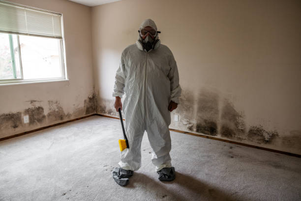 Best Commercial Mold Removal  in Fanning Springs, FL